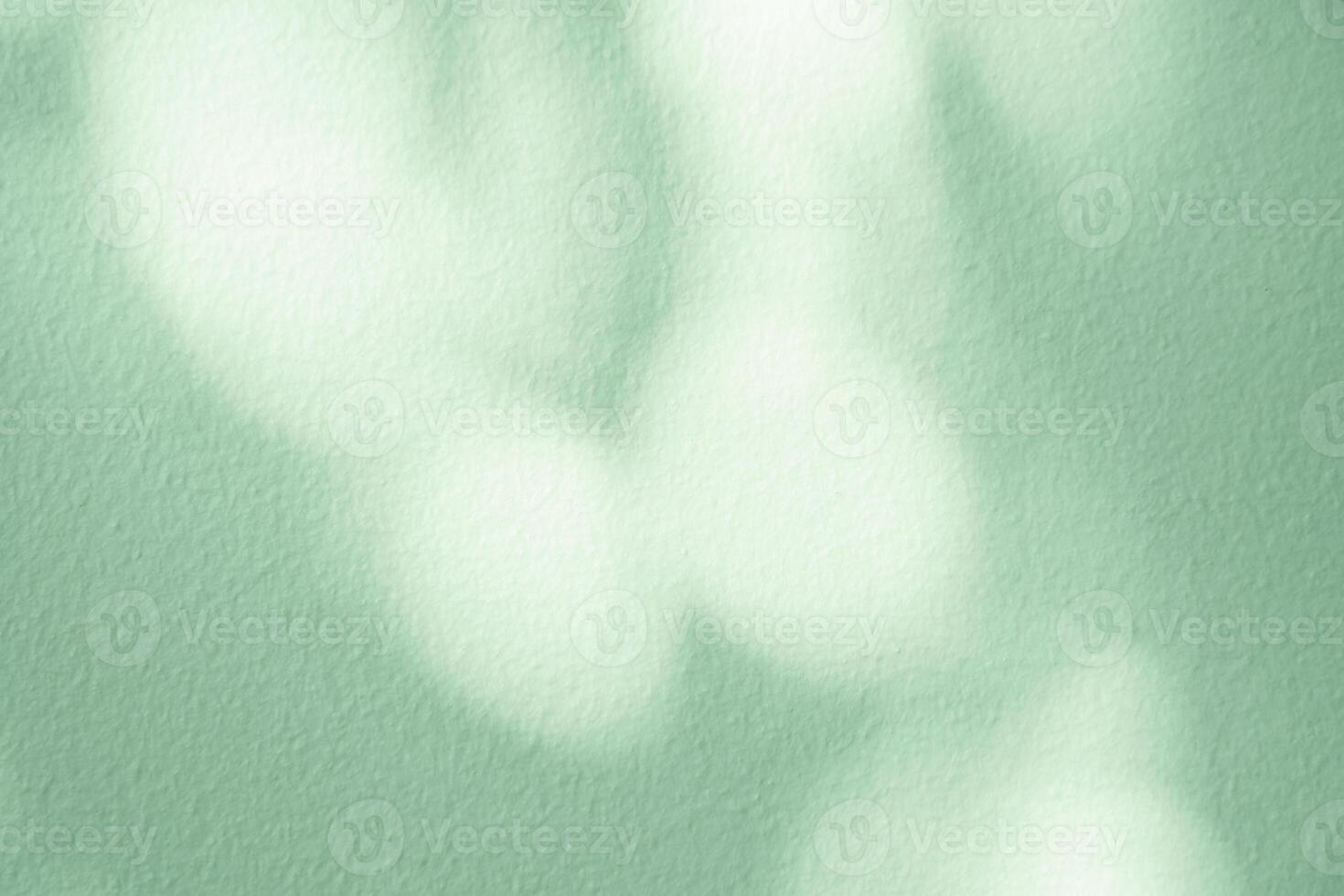 Background green wall studio kitchen room with shadow leaves, light for Product Present,Backdrop empty display of floor texture with bright spring sunlight for cosmetic product banner photo