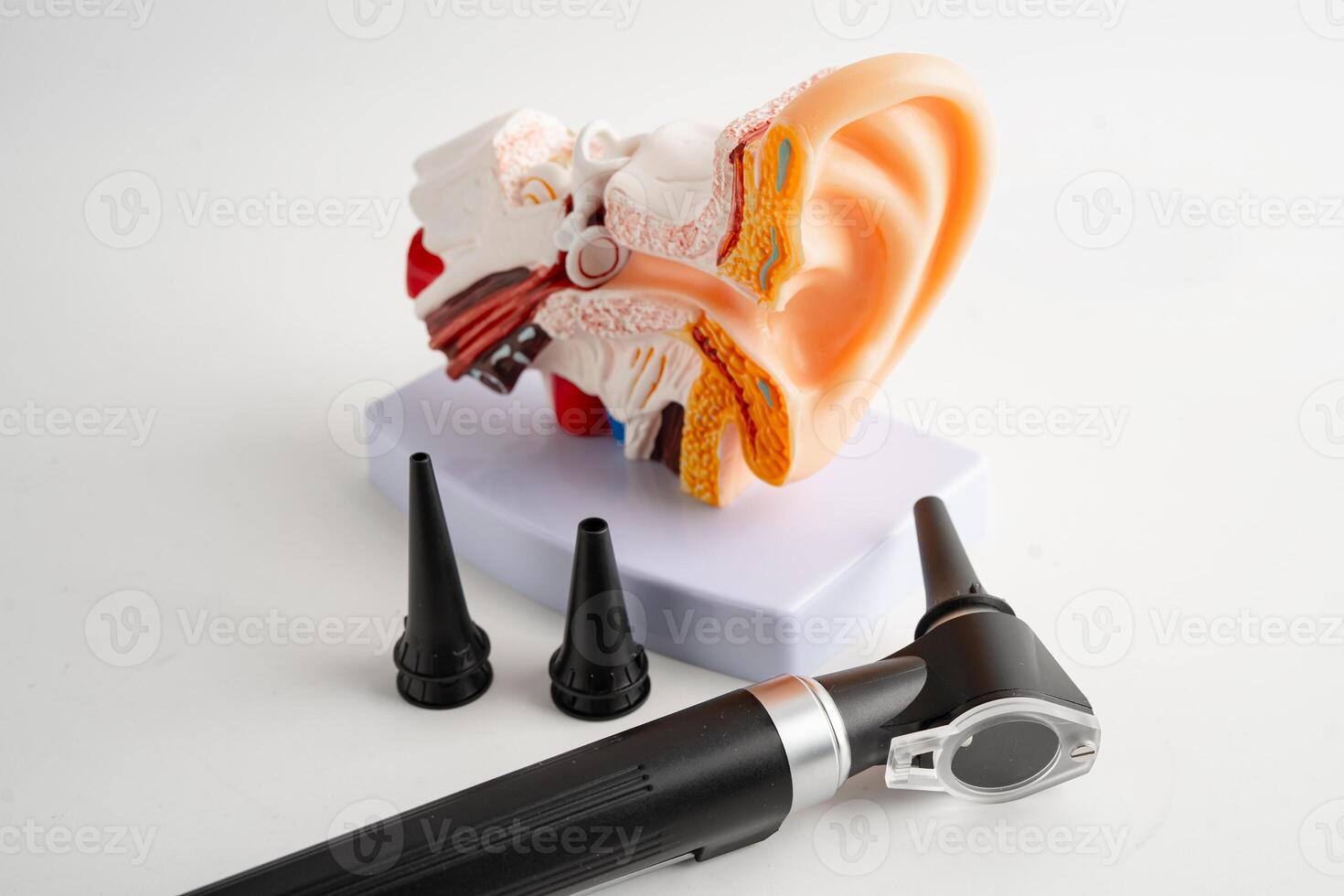 Otoscope with model for audiologist or ENT doctor use otoscope checking ear photo