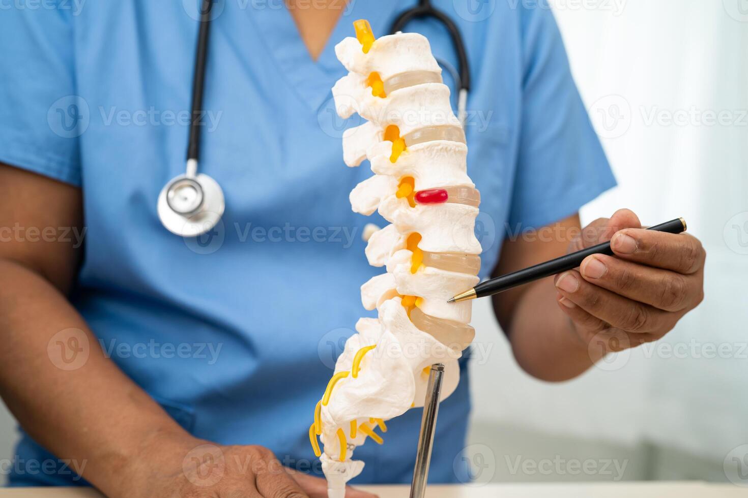 Doctor lumbar vertebra bone skeleton and nerve model photo