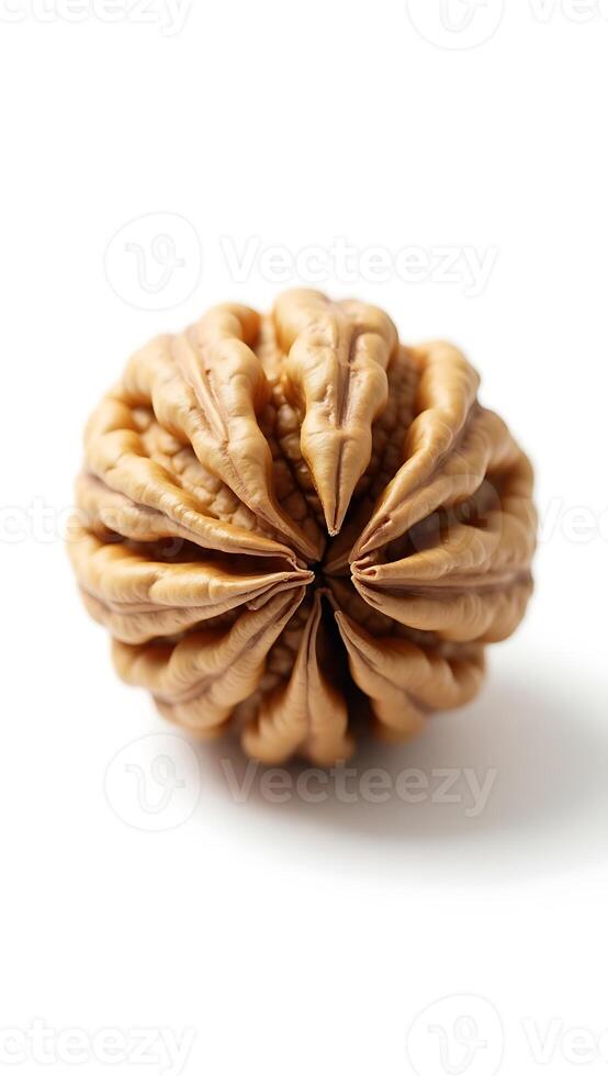 Extreme closeup of a unique nut showcasing intricate textures and patterns in detail photo