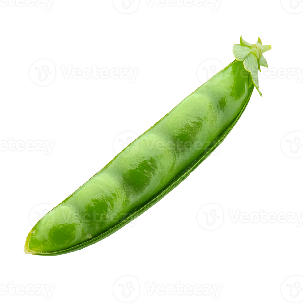 Green pea pod on transparent background png