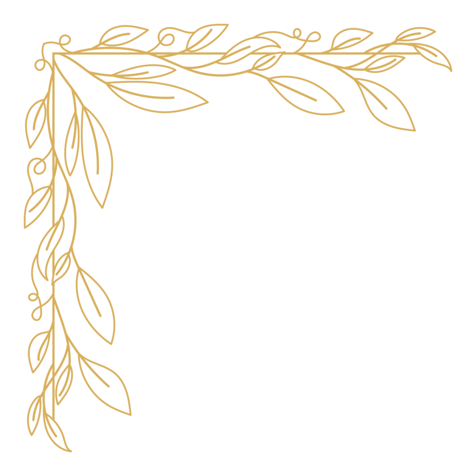 Baroque Ornate Frame with Calligraphic Corner and Elegant Element. png