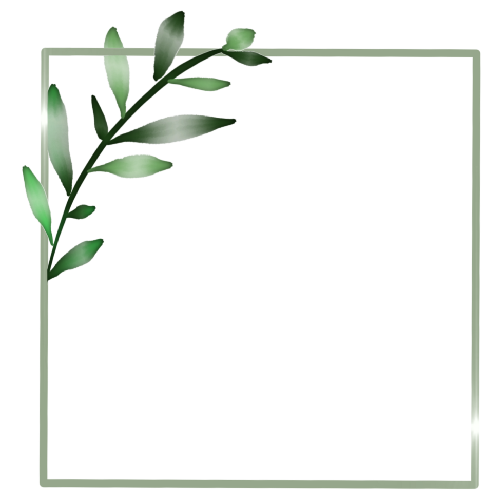 Green square frame with a simplistic branch and leaves png