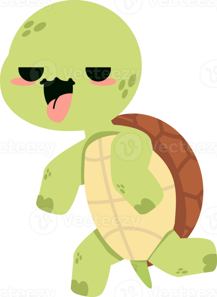 Cute Cartoon Turtle Character png