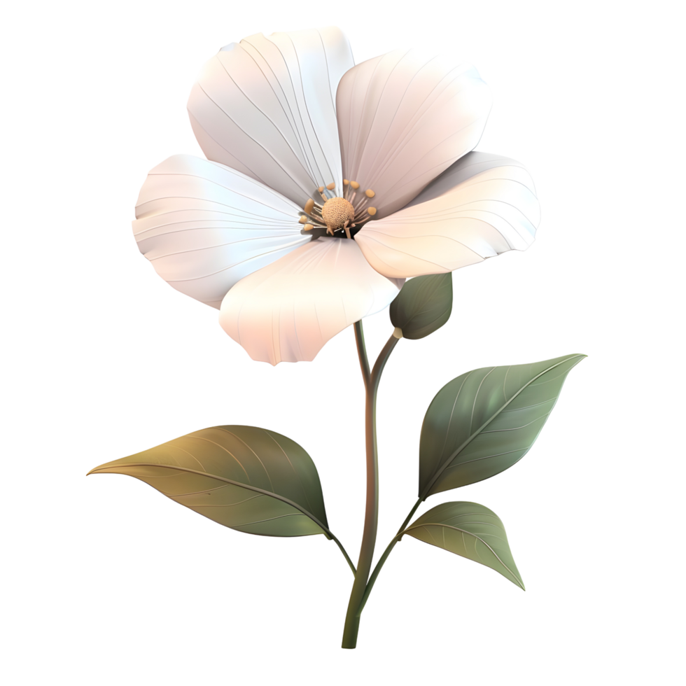 Elegant white flower blossom with green leaves on transparent background 3d stem png