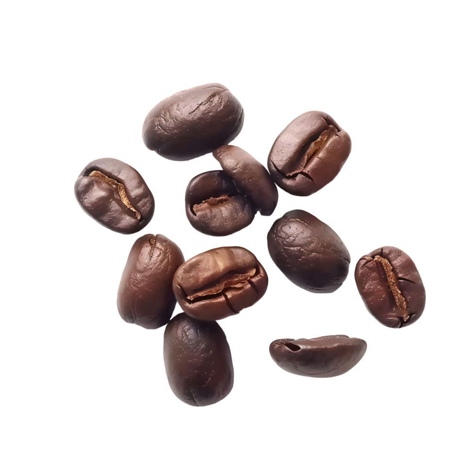 Roasted coffee beans falling dark brown isolated background food on transparent background png