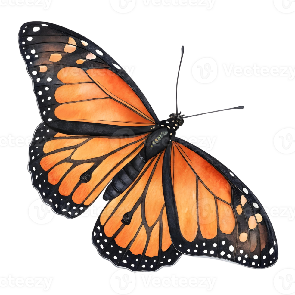 Stunning Watercolor Monarch Butterfly Illustration, Isolated on transparent Background, Nature Design png