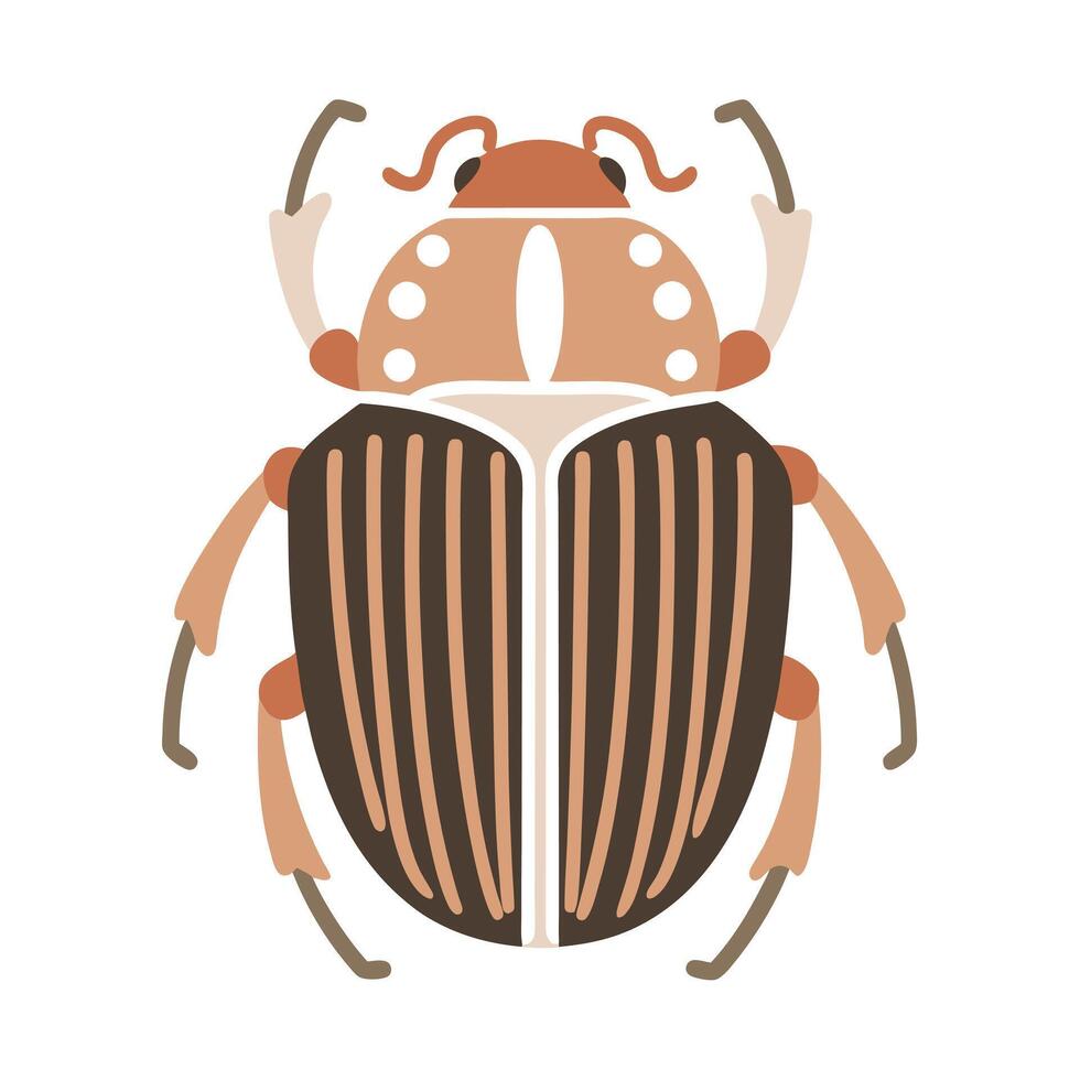 Stylized Goliath Beetle Illustration on White Background vector