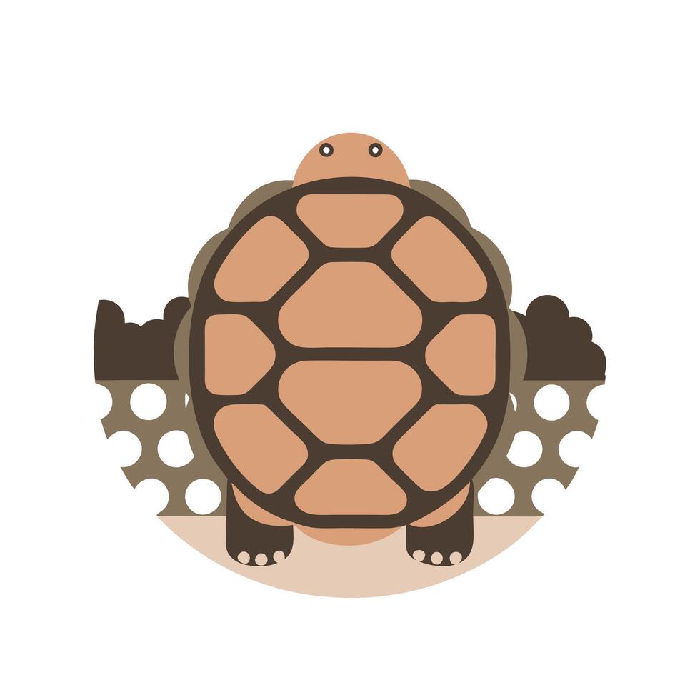 Cute Galapagos Tortoise Illustration, Graphic vector