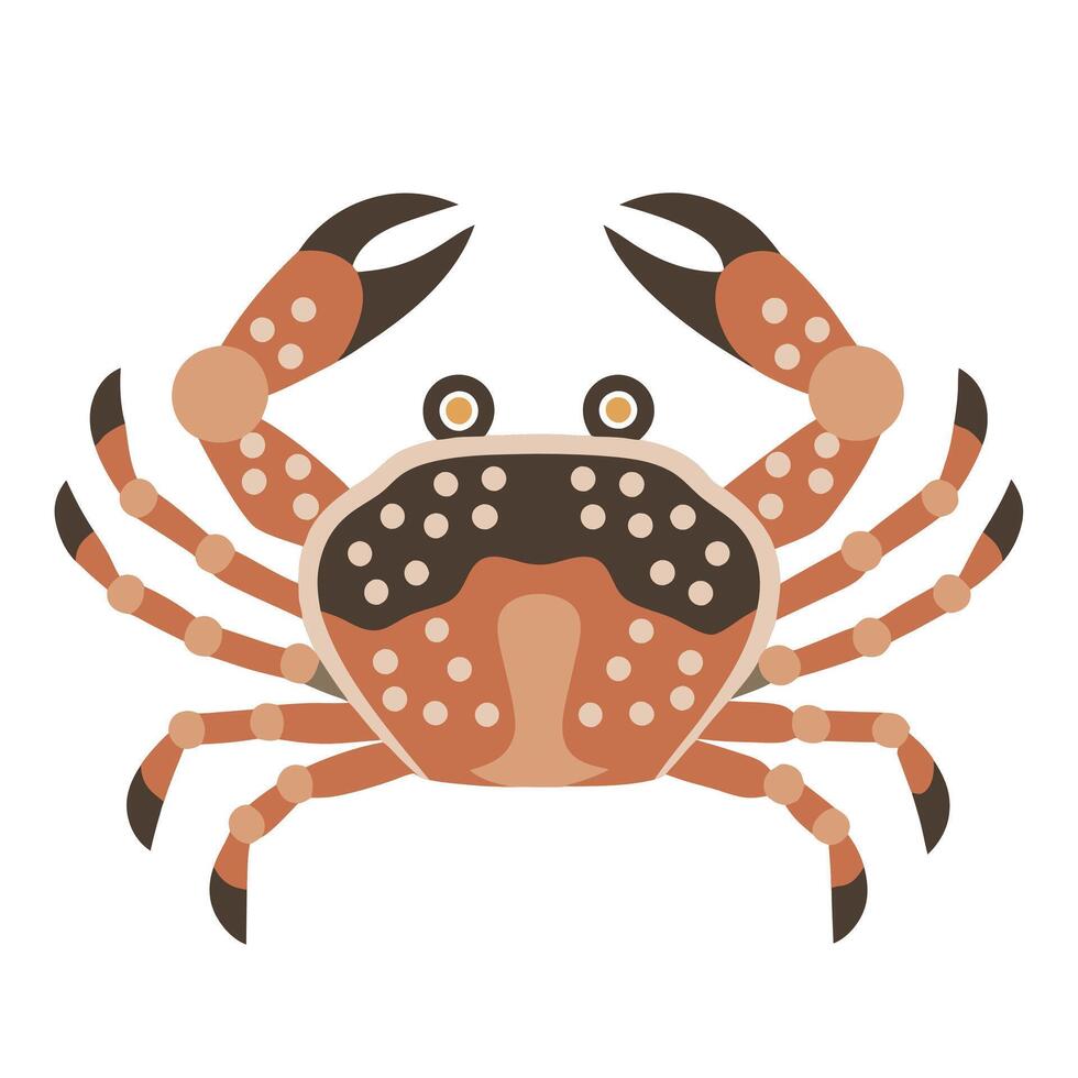 Stylized Flat Crab Illustration vector