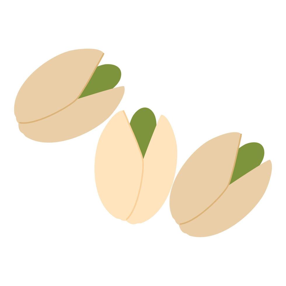 Some Roasted Pistachio nuts illustration vector