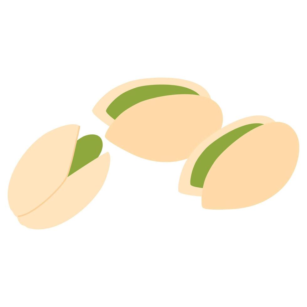 Pistachio Nuts Illustration with Visible Green Seeds vector