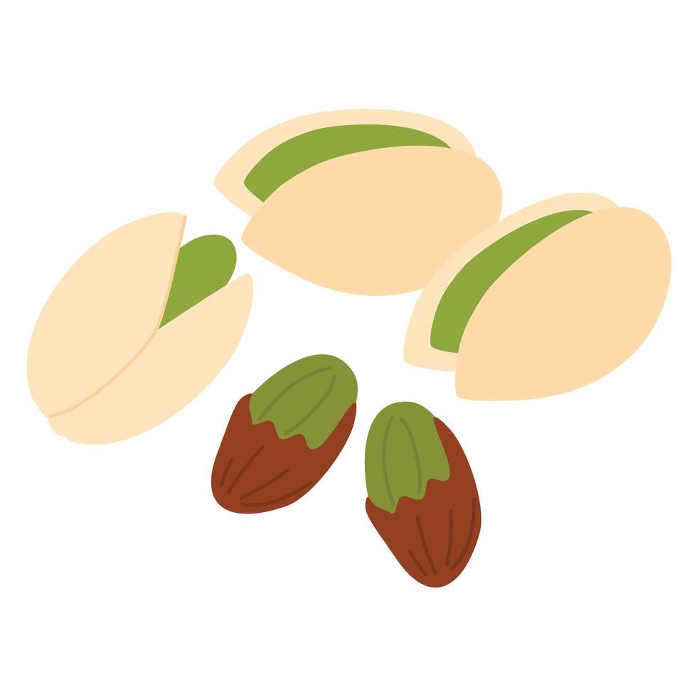 Salted and Roasted Pistachios illustration vector