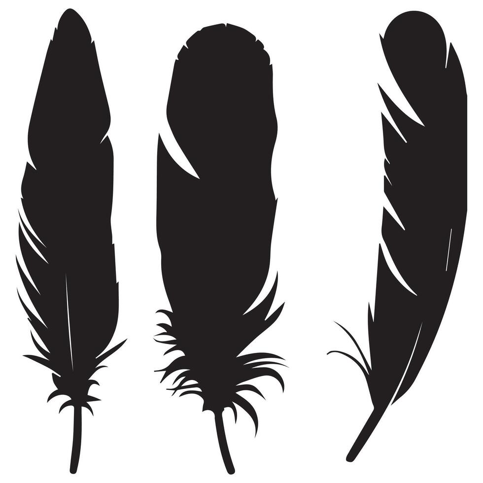 Feathers silhouette set vector