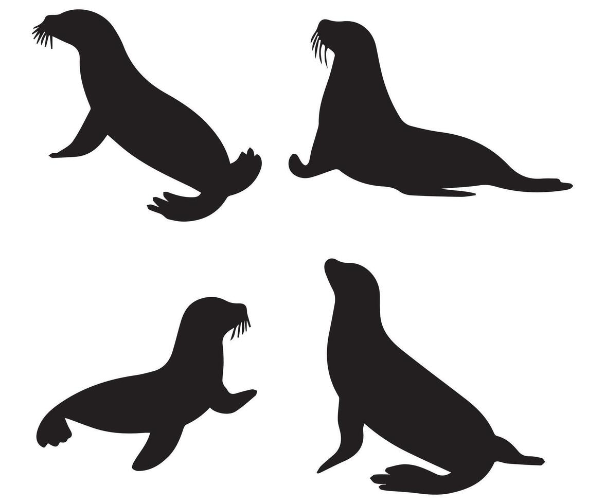funny Seal Animal Silhouette in Various vector