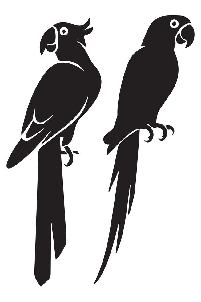 Tropical Parrot Black Silhouette Parrots with Feathers Wings vector