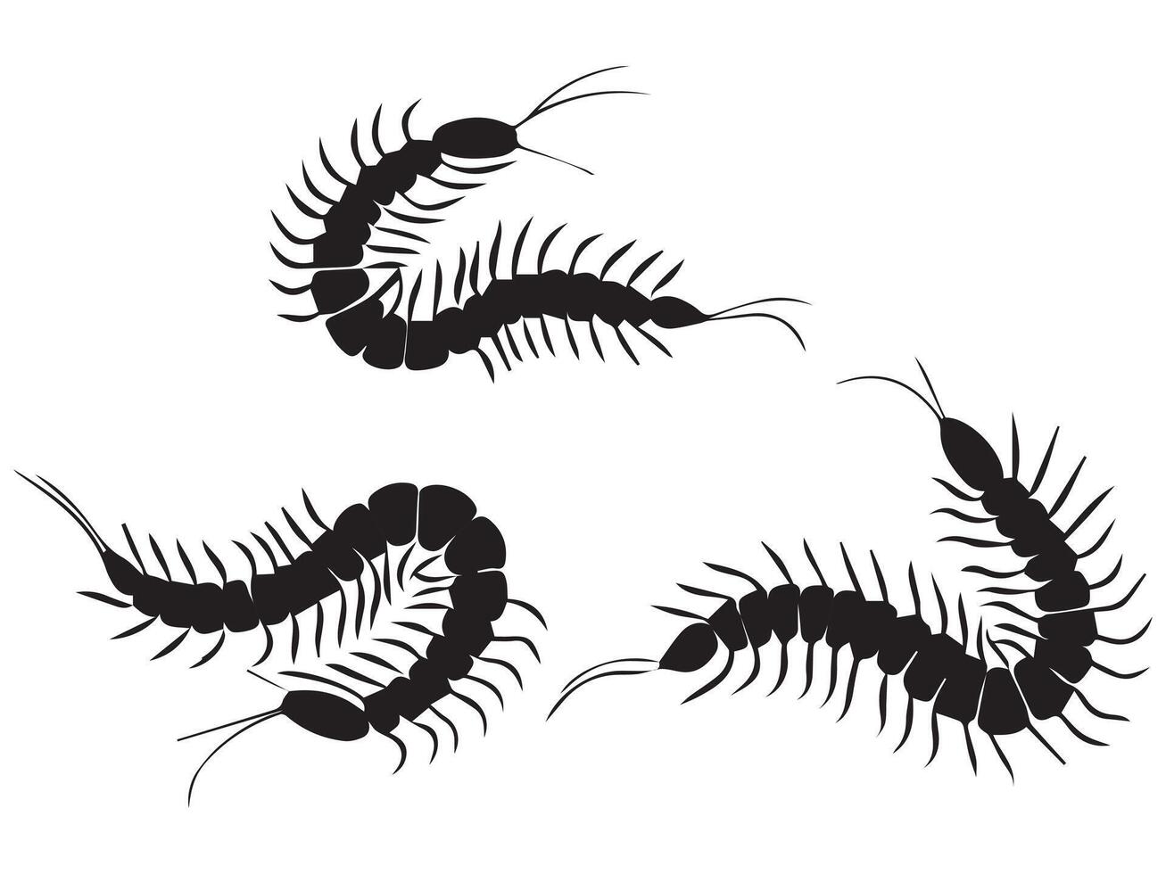 funny Centipede Silhouette Illustration vector