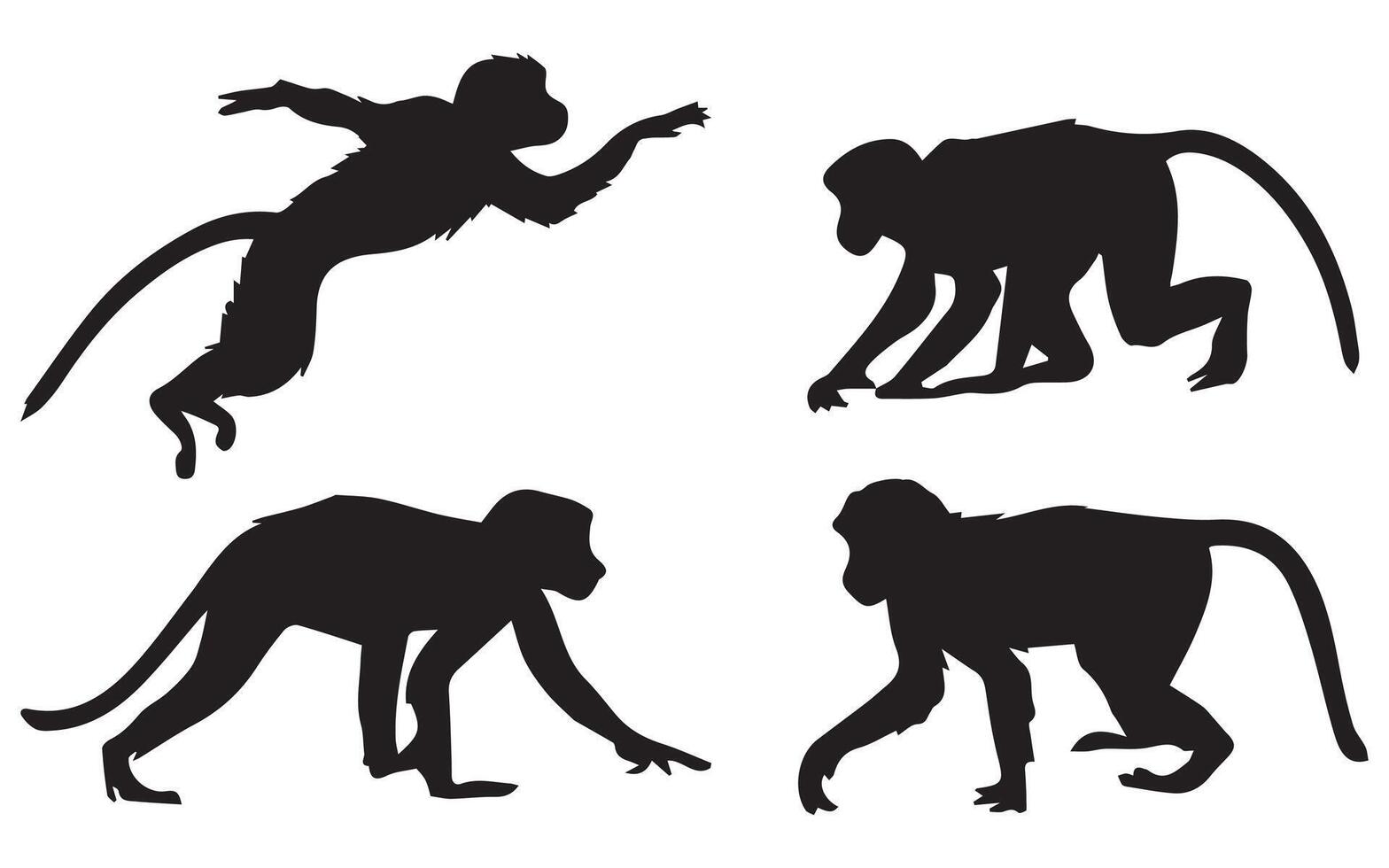Proboscis Monkey Silhouette Illustration vector