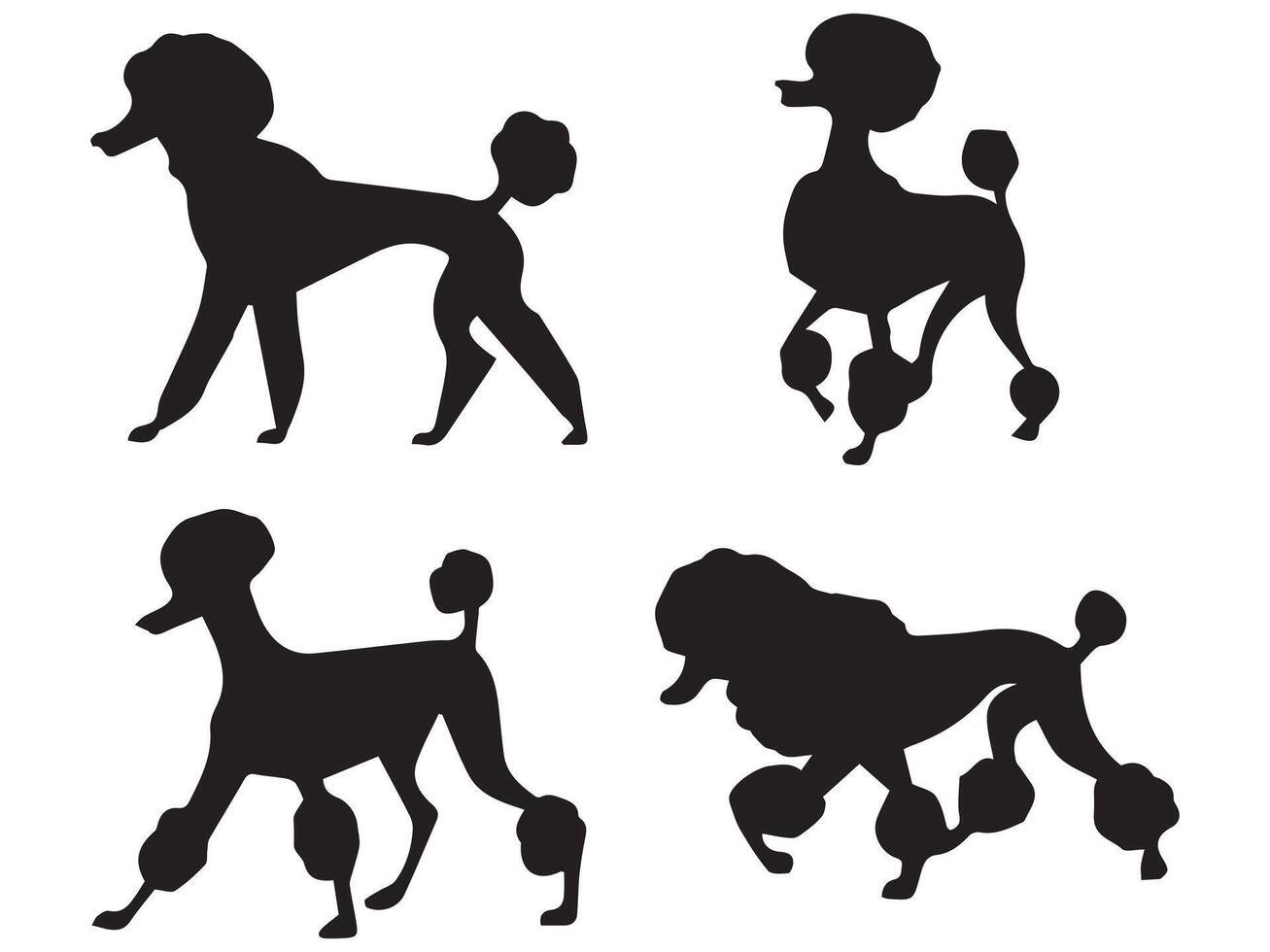 Poodle Silhouette Illustration vector