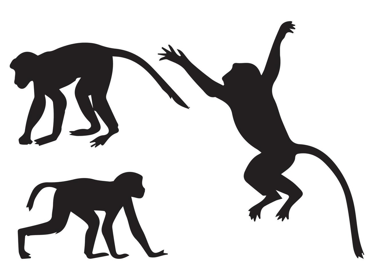 Proboscis Monkey Silhouette Illustration set vector