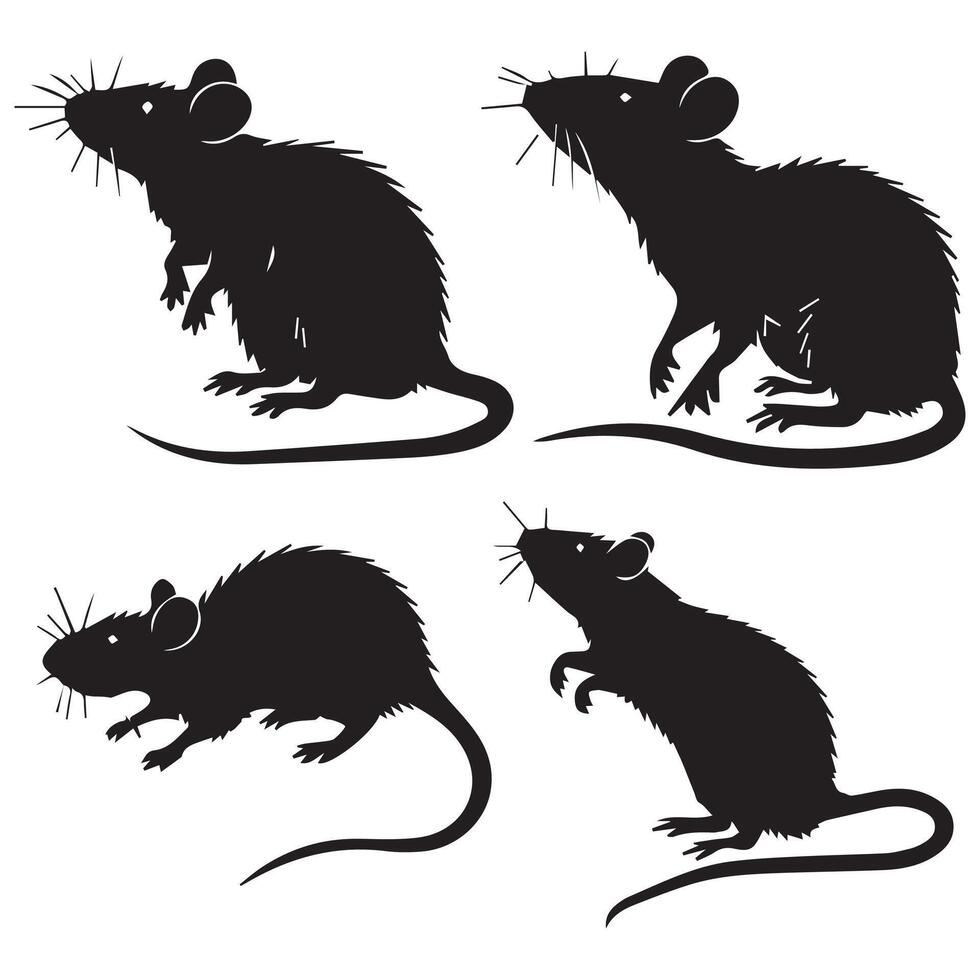 Small Rat Silhouette Collection set vector