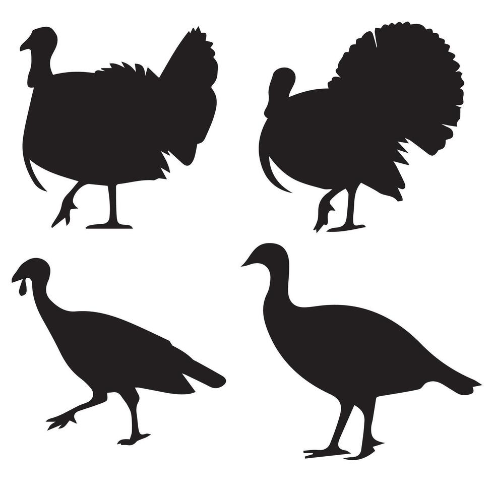 Turkey Silhouette Set White Background Farm Animal Collection vector