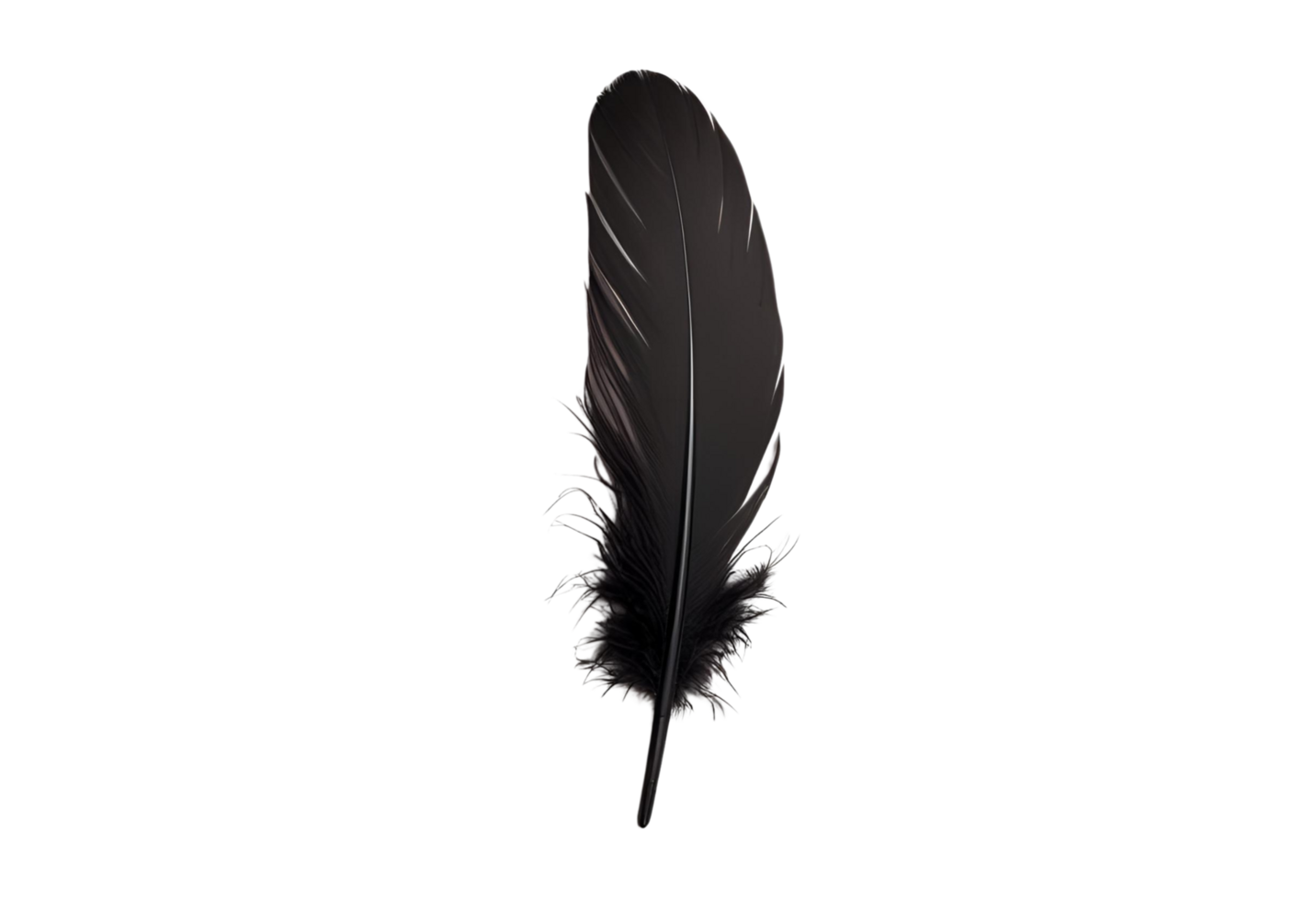 A black feather floats gracefully, showcasing its delicate texture beautifully. png