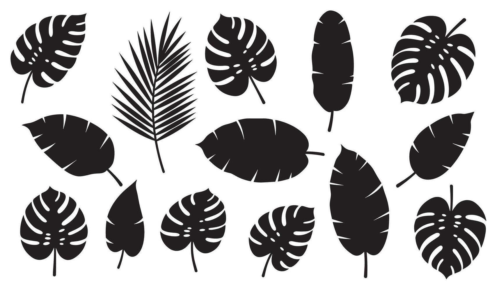 A variety of leaf designs in black silhouette form arranged neatly. vector