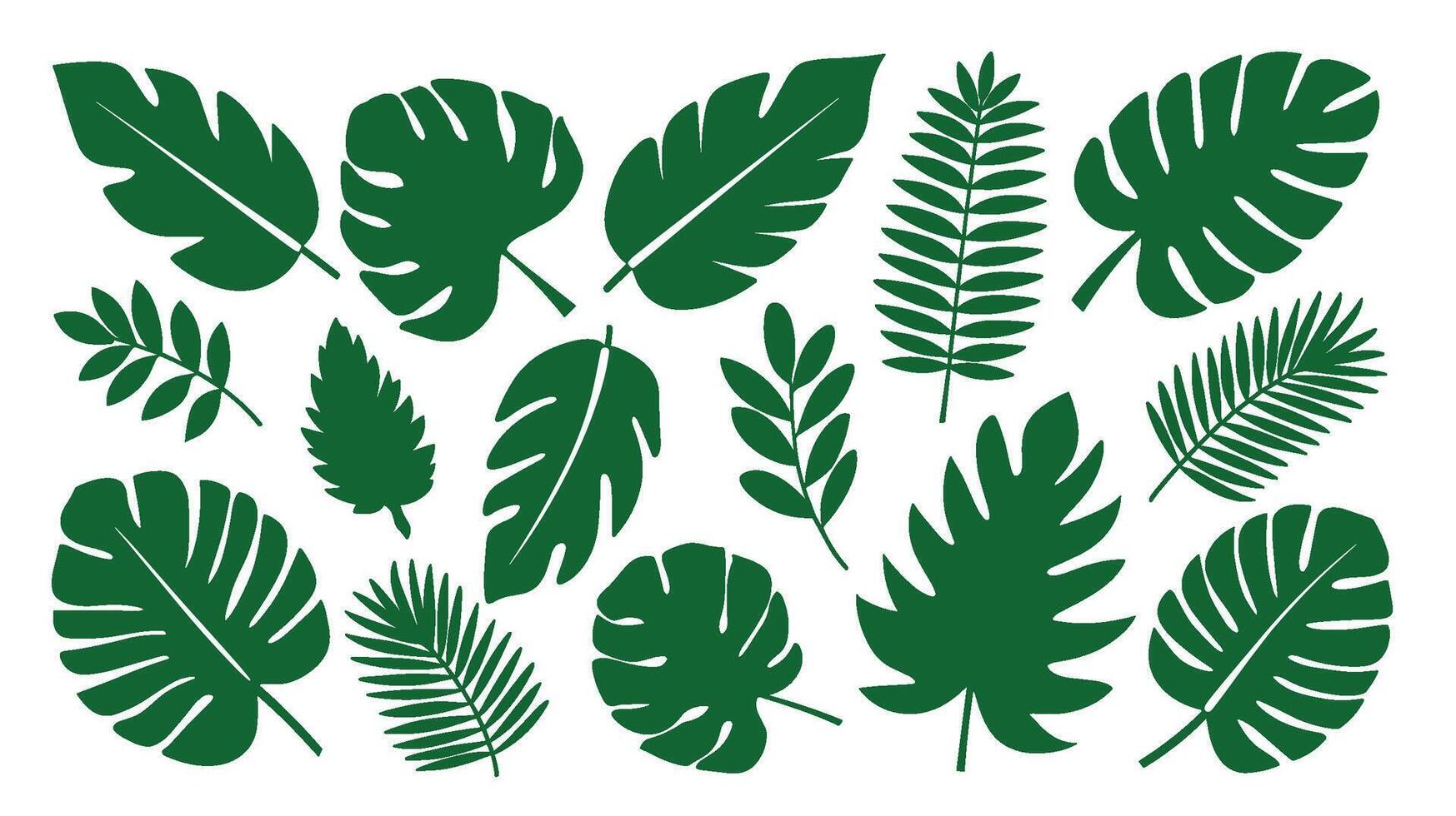 Collection of Tropical Leaf Illustrations vector