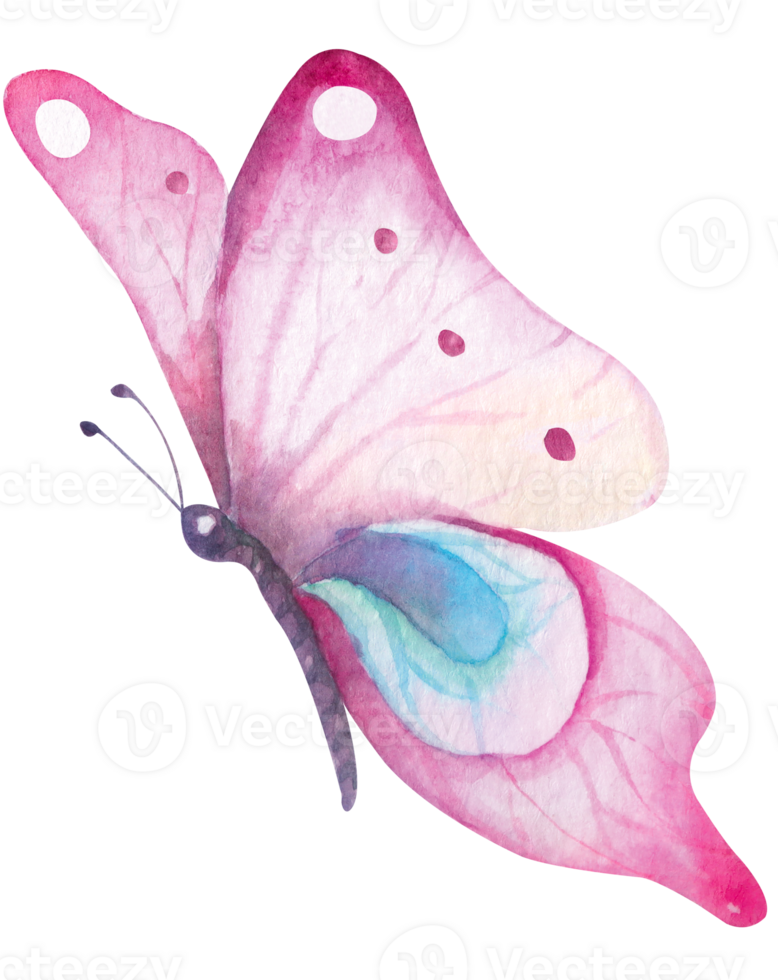 Butterfly painted with watercolors. Insect pollination. png