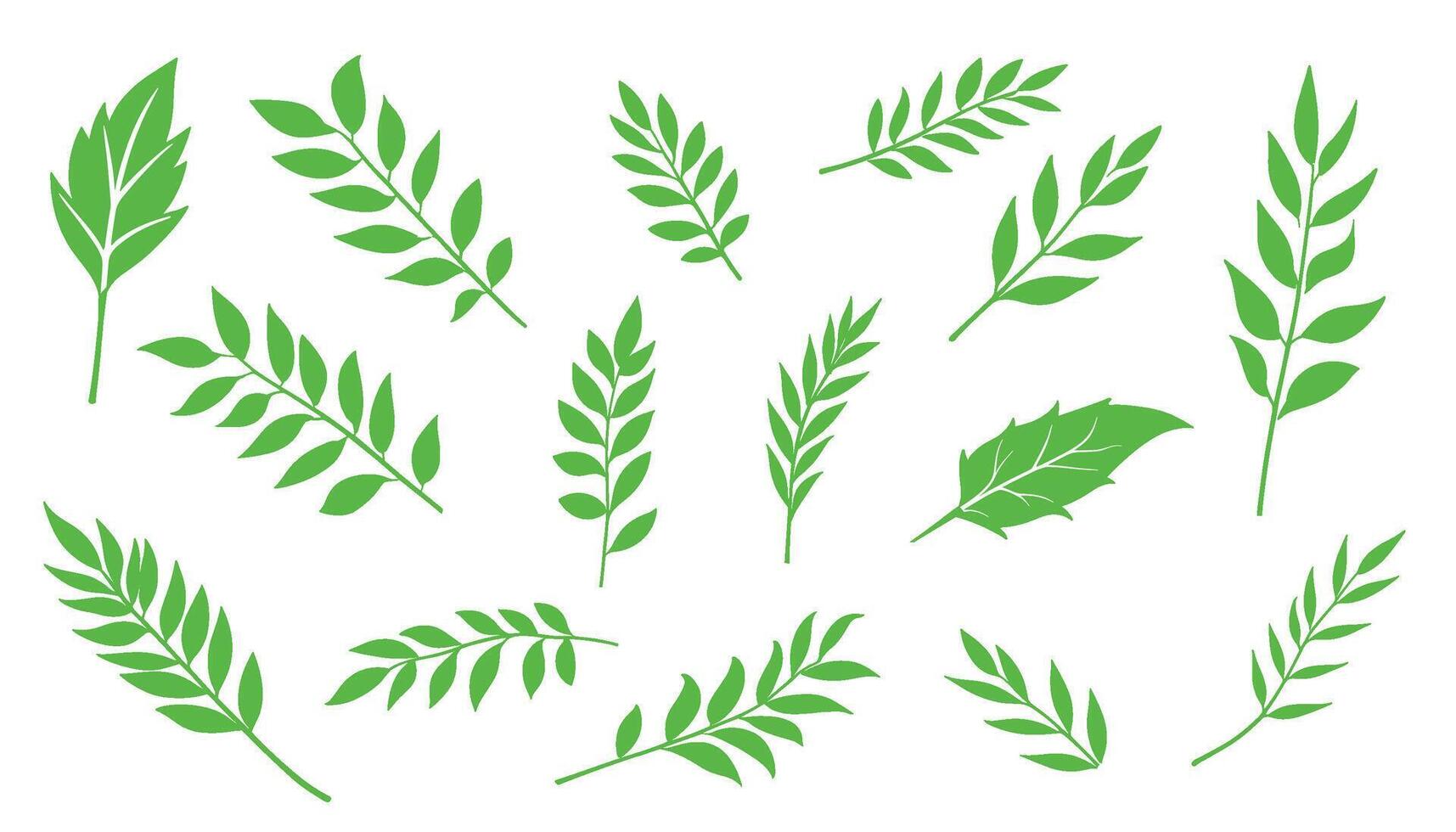 A lush tropical background filled with vibrant green leaves in various shapes and sizes. vector