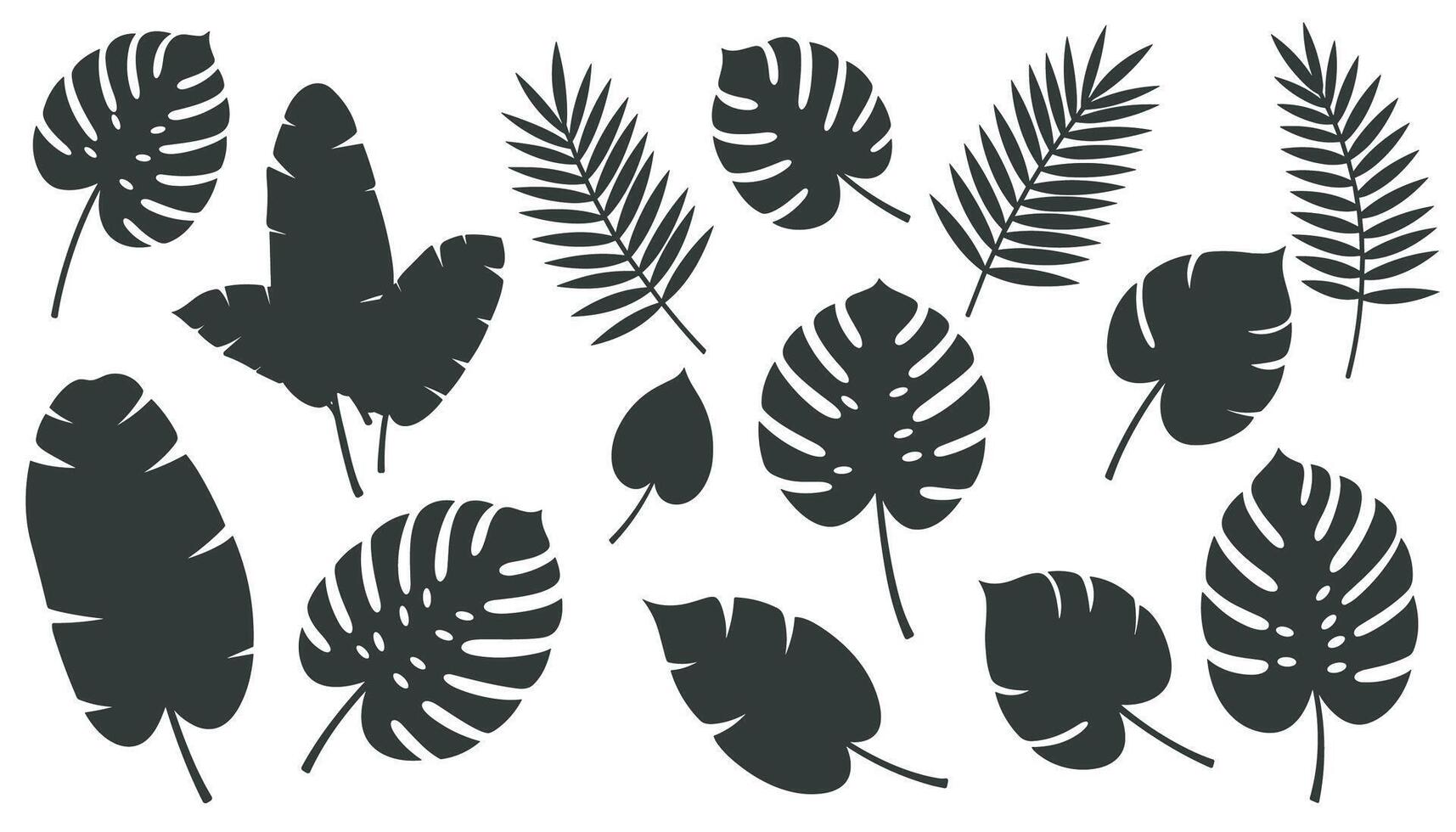 A series of black leaf silhouettes varying in shape and size. vector
