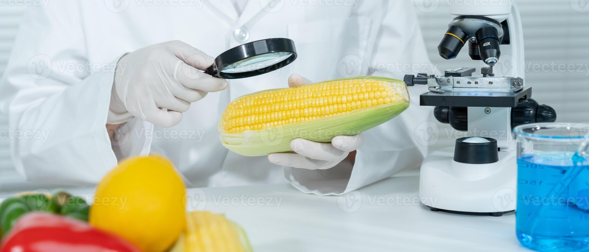 magnifying glass to check physical occur from chemical on fruit and vegetable residues in laboratory. inspect the concentration of chemical residues, standard, find prohibited substances photo