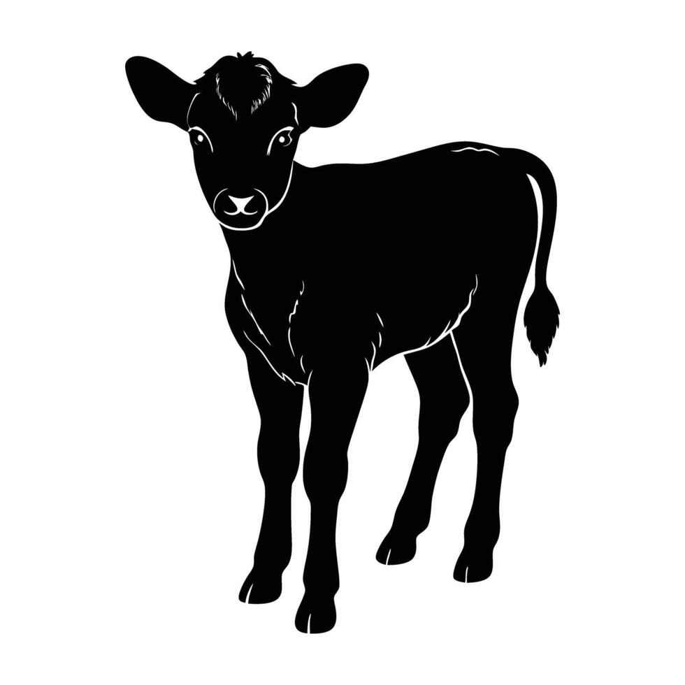 Adorable calf standing with small horns just starting to grow in isolated line art silhouette vector