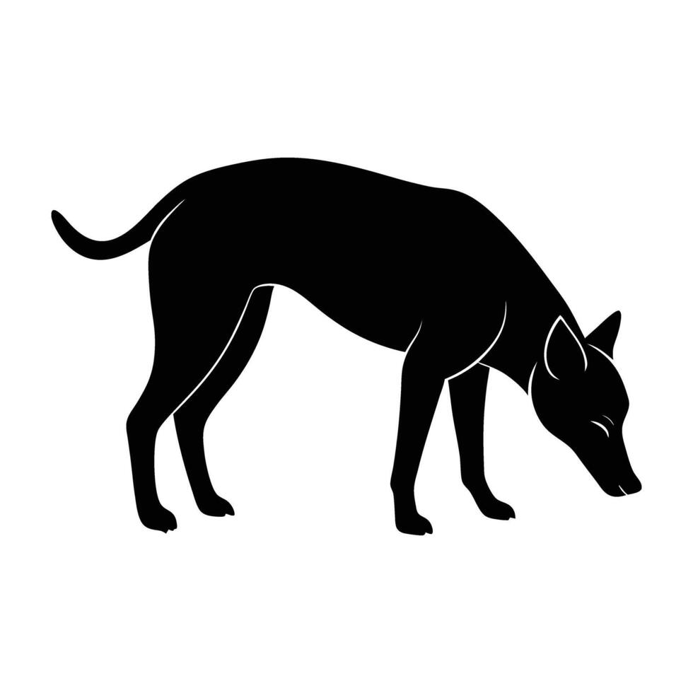 Inquisitive dog sniffing the ground with head lowered attentively on white background vector