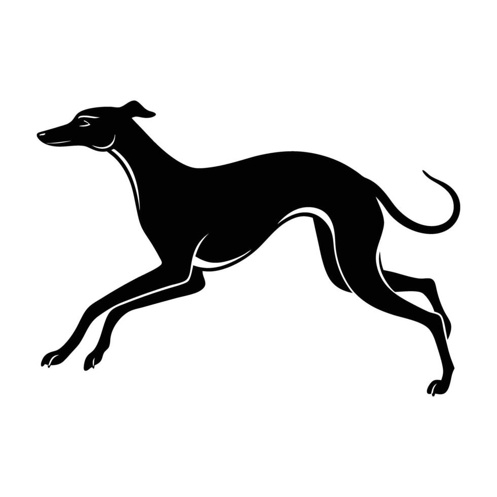 Rapid greyhound sprinting at full speed in a clear white silhouette vector