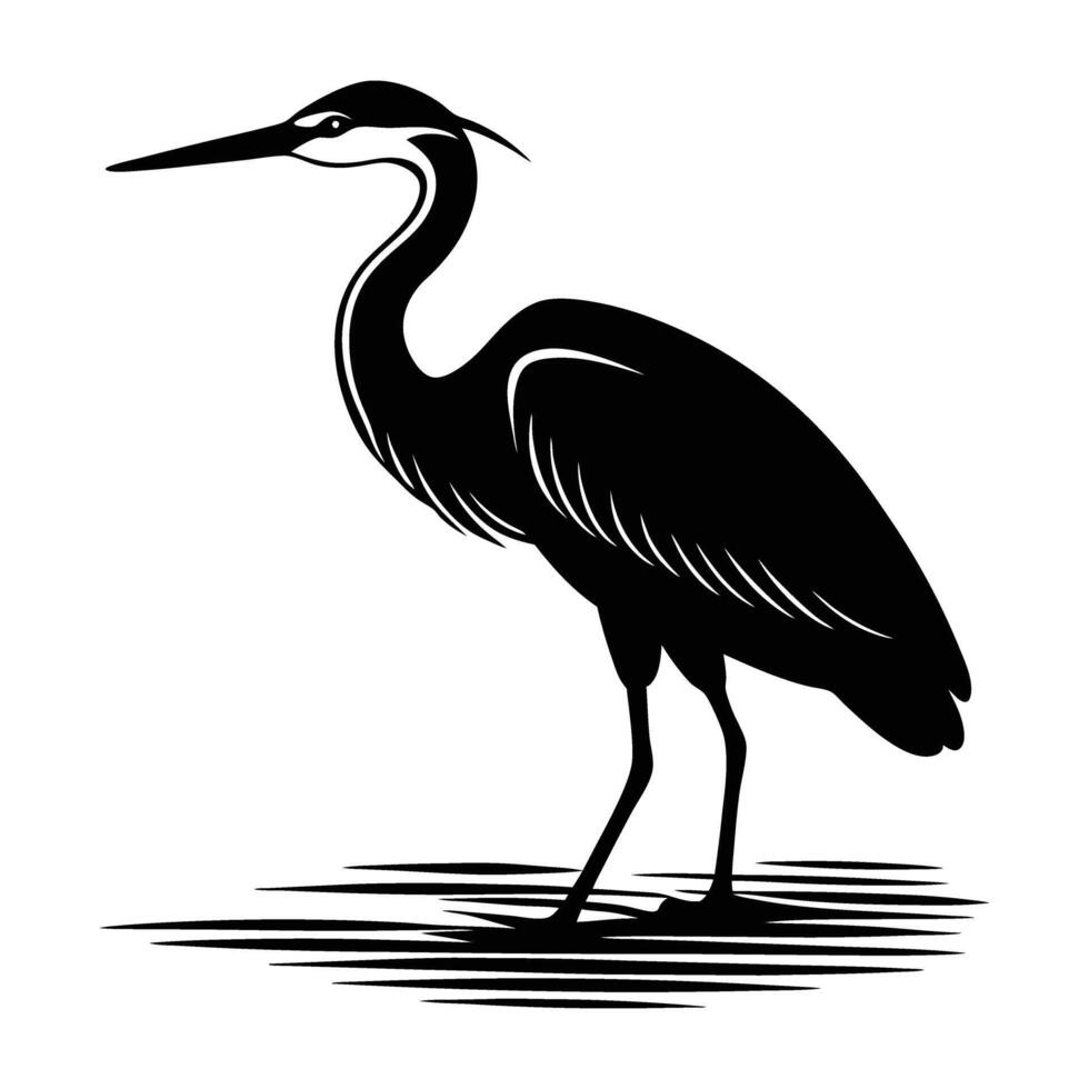 A stately heron stands by water with a long pointed beak silhouette vector