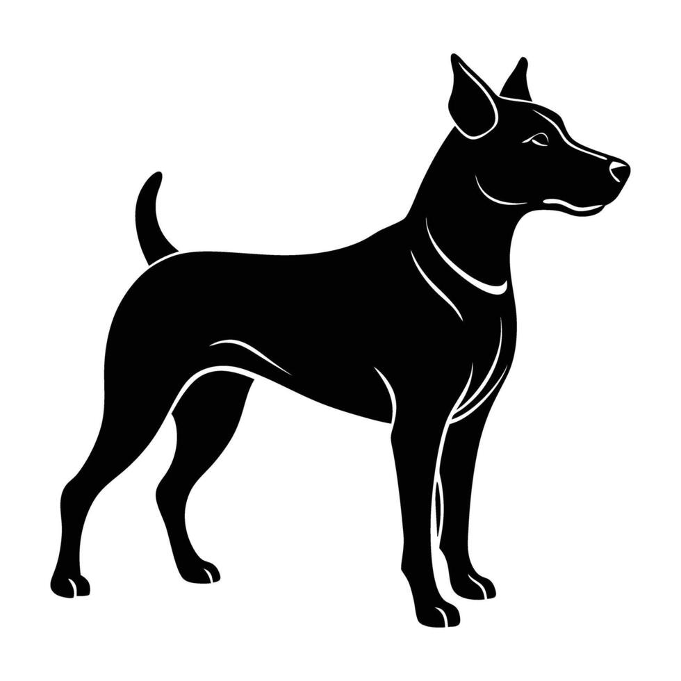 Vigilant dog standing at attention with alert ears on white background vector