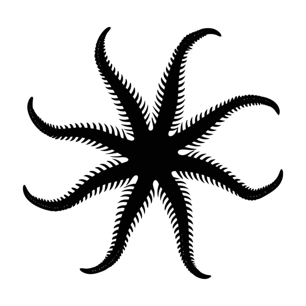 Graceful brittle star with slender flexible arms extended in isolated line art silhouette design vector
