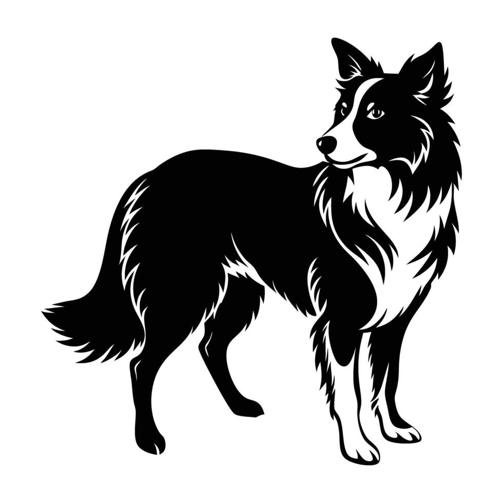 Intelligent border collie herding with head lowered in refined isolated line art silhouette composition vector