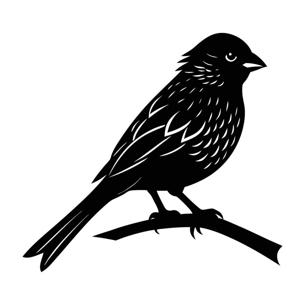Delightful canary resting on a branch with ruffled feathers in isolated silhouette vector