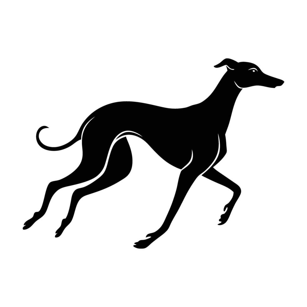 A swift greyhound dashing rapidly with perfectly stretched legs in motion vector