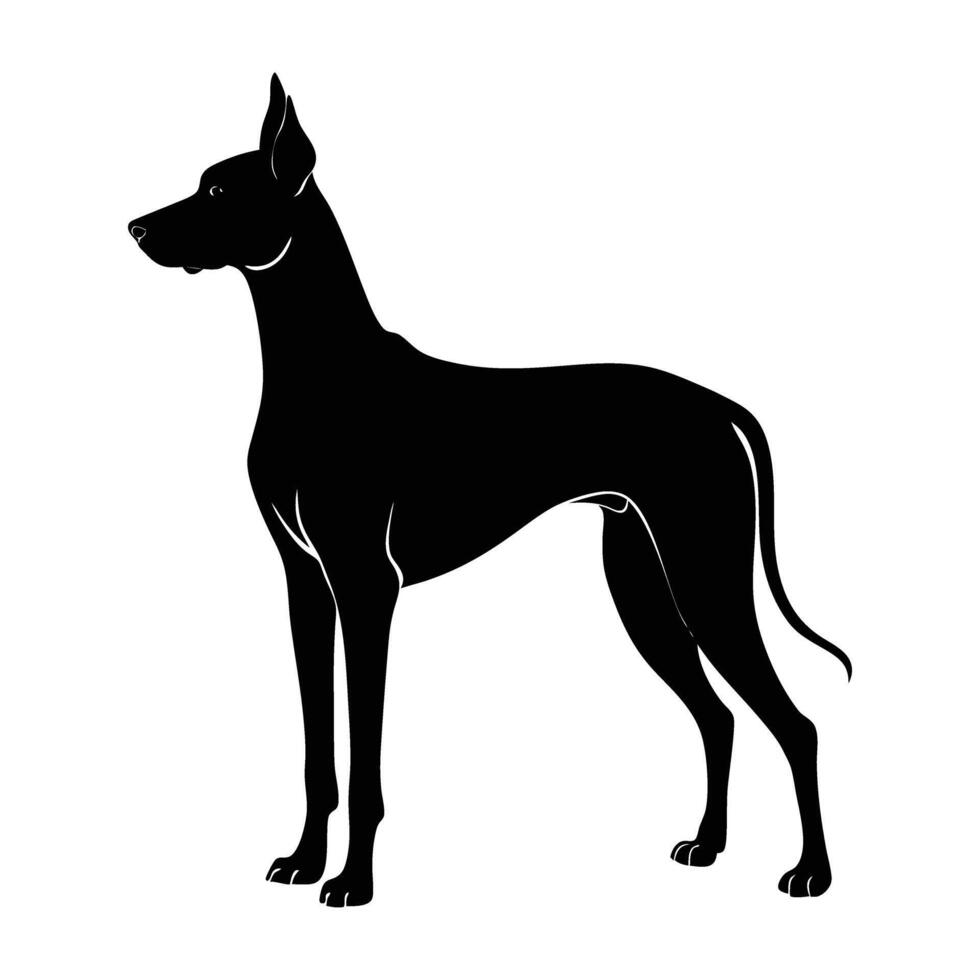 A bold great dane exhibiting refined elegance and a dignified posture vector