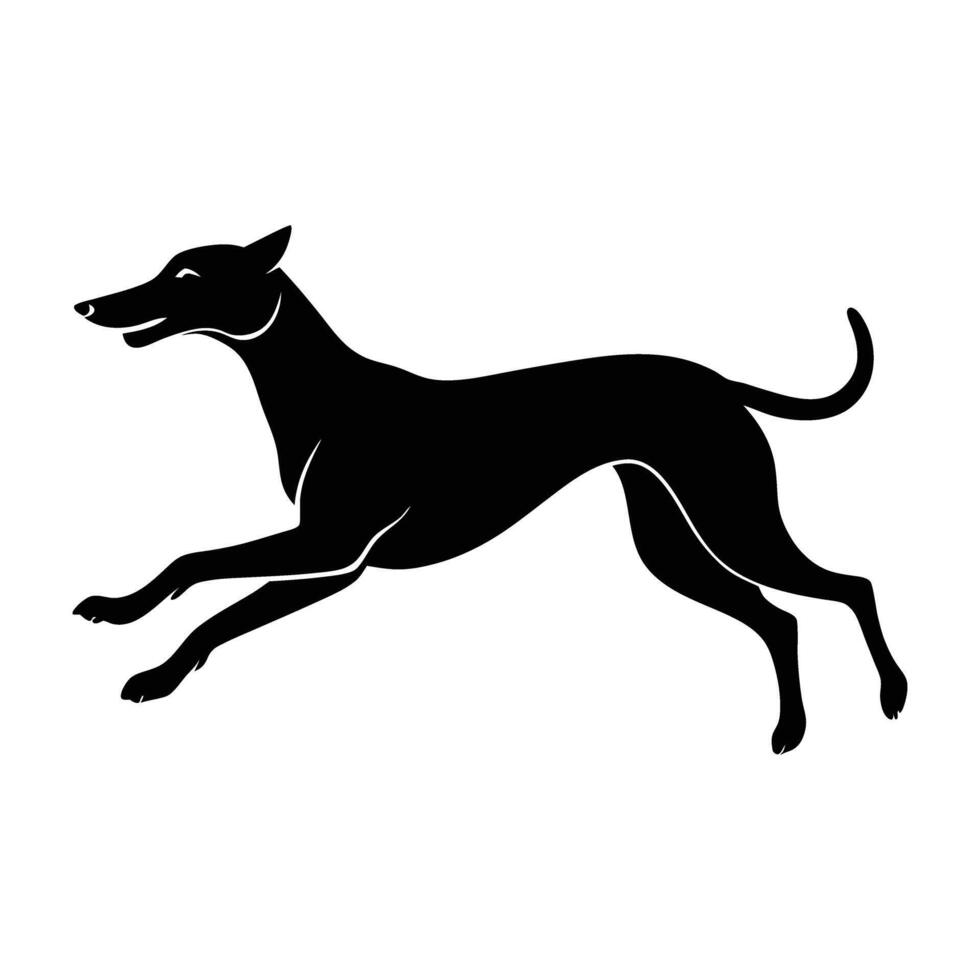 Energetic dog mid leap with stretched out legs captured on white background vector