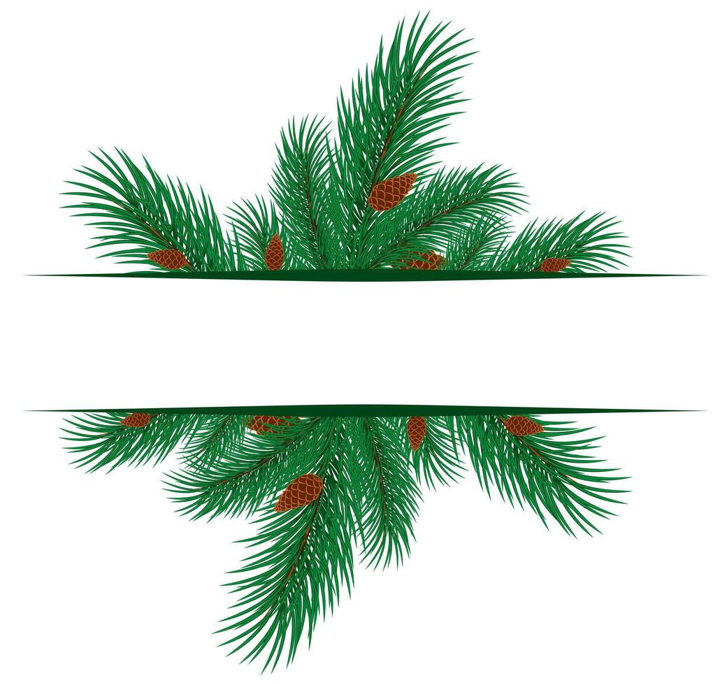 The frame with branches of pine tree. vector