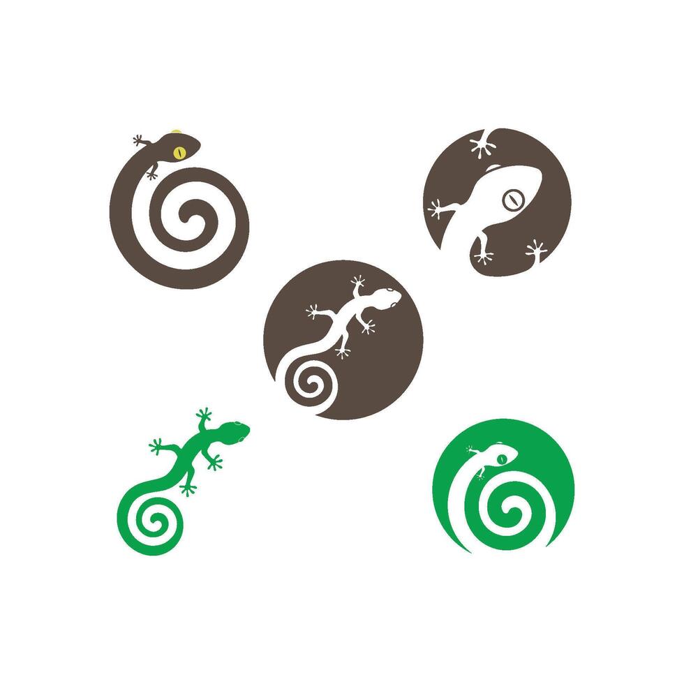 Gecko logo icon illustration template. vector