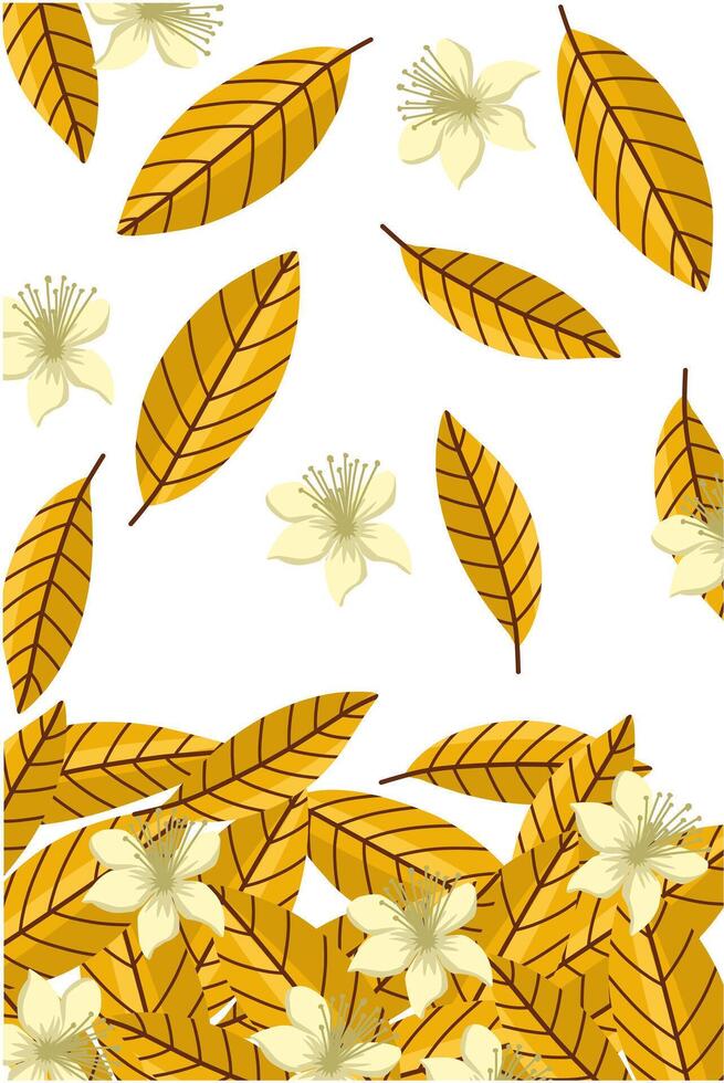 Dry leaves and guava flowers fall in white background vector
