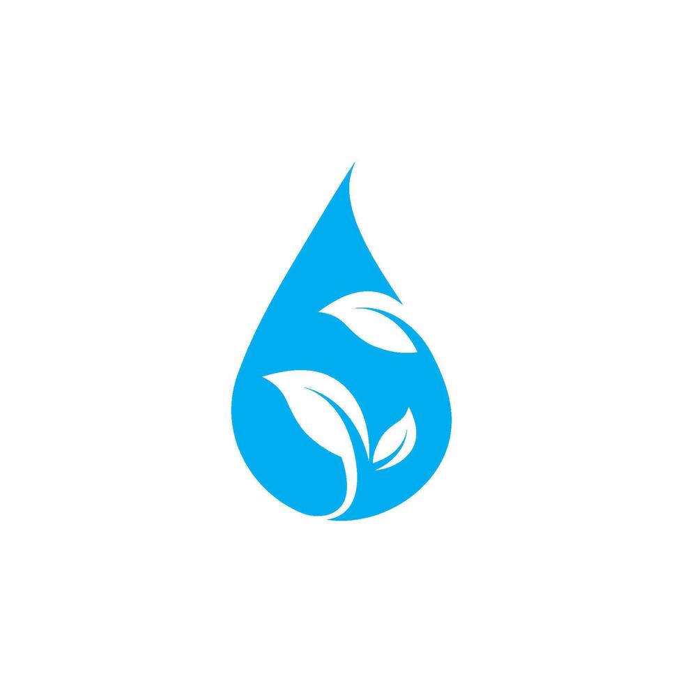 water drop leaf concept Logo Template illustration vector