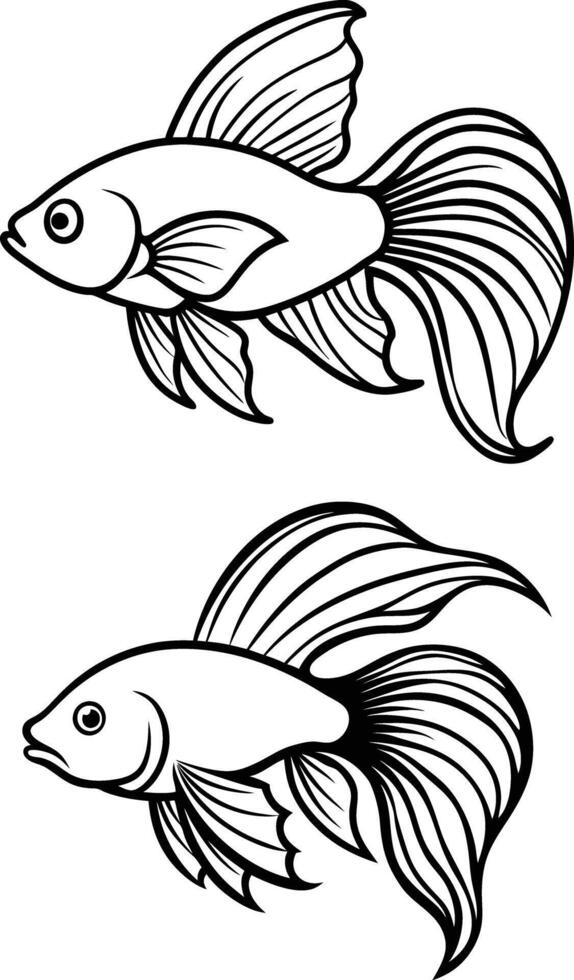 Elegant Betta Fish Line Art Flowing Fins and Graceful Movements in Black And White Illustration. vector