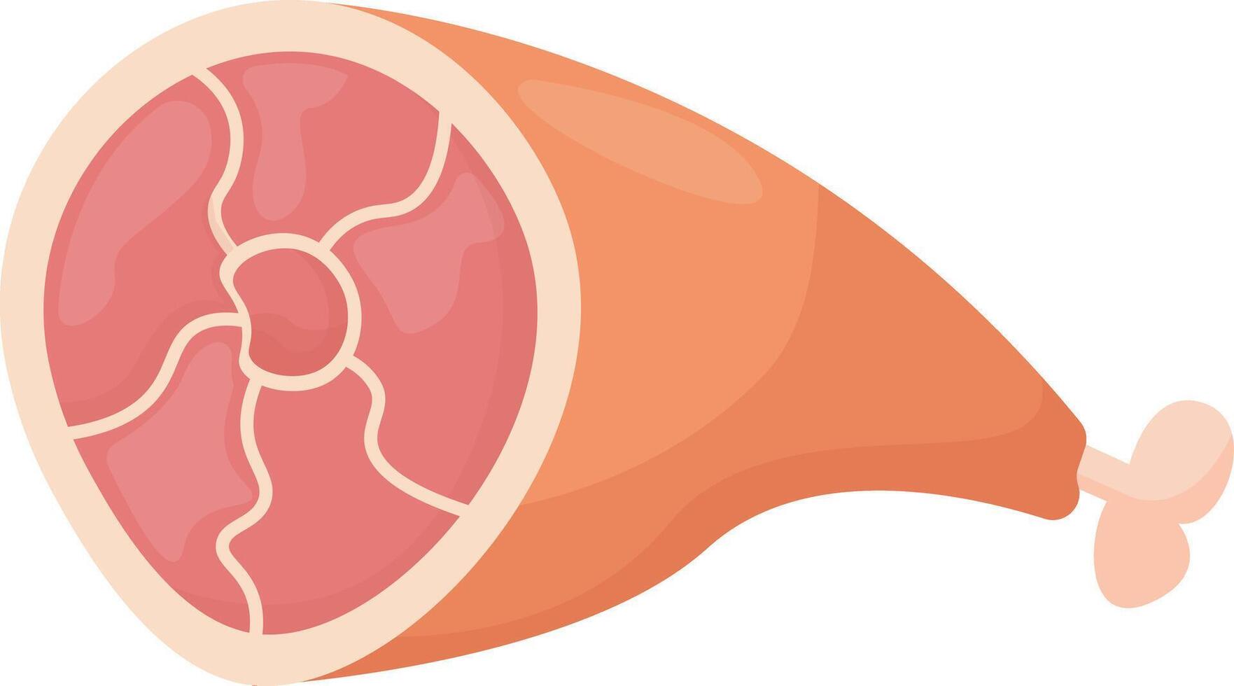 Beef Bone Marrow Cut vector